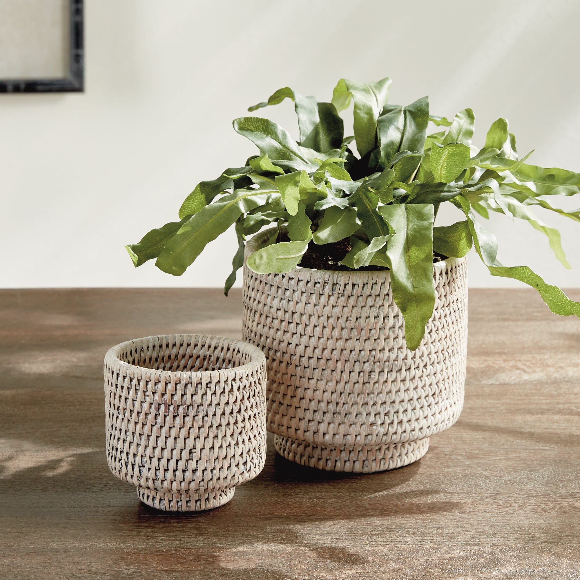 Burma Rattan Cachepots Small, Set Of 2 - View 5