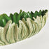 Winslow Decorative Oval Bowl - View 2