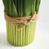 Peony Tulip Bundle Drop-In 18" - View 4