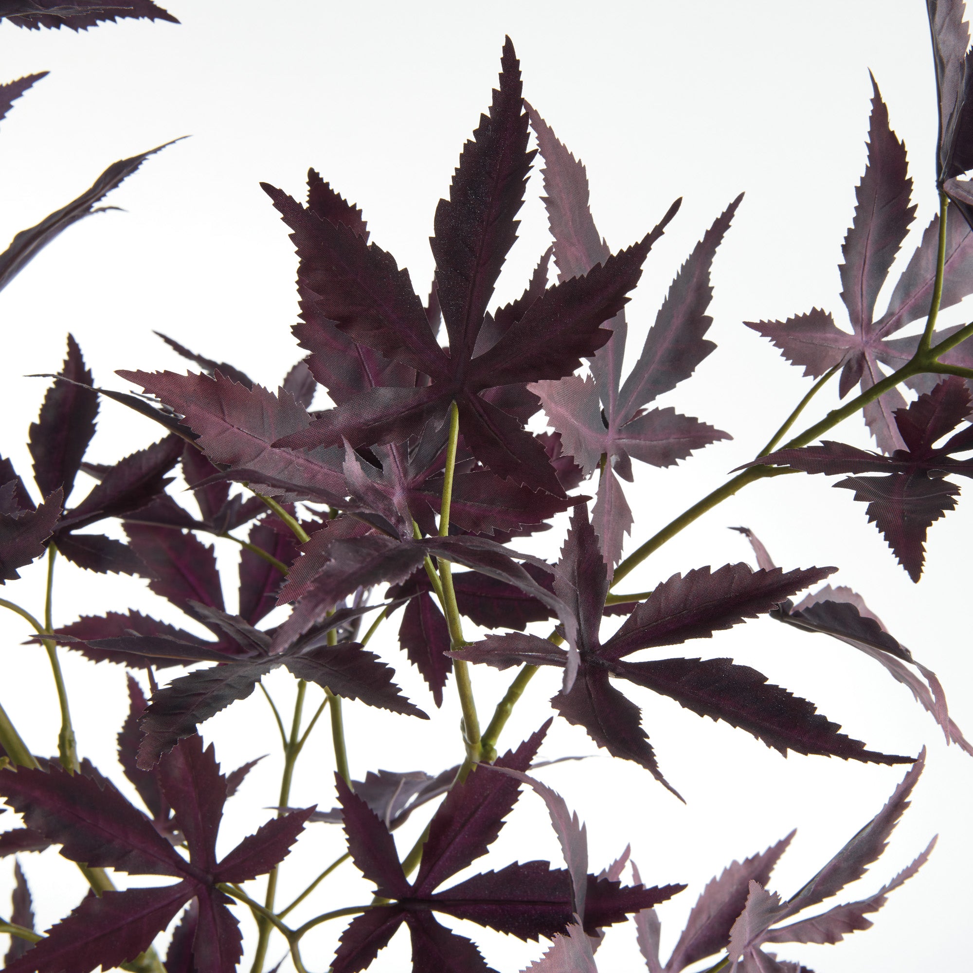 Maple Leaf Branches 41" St/2 - View 3