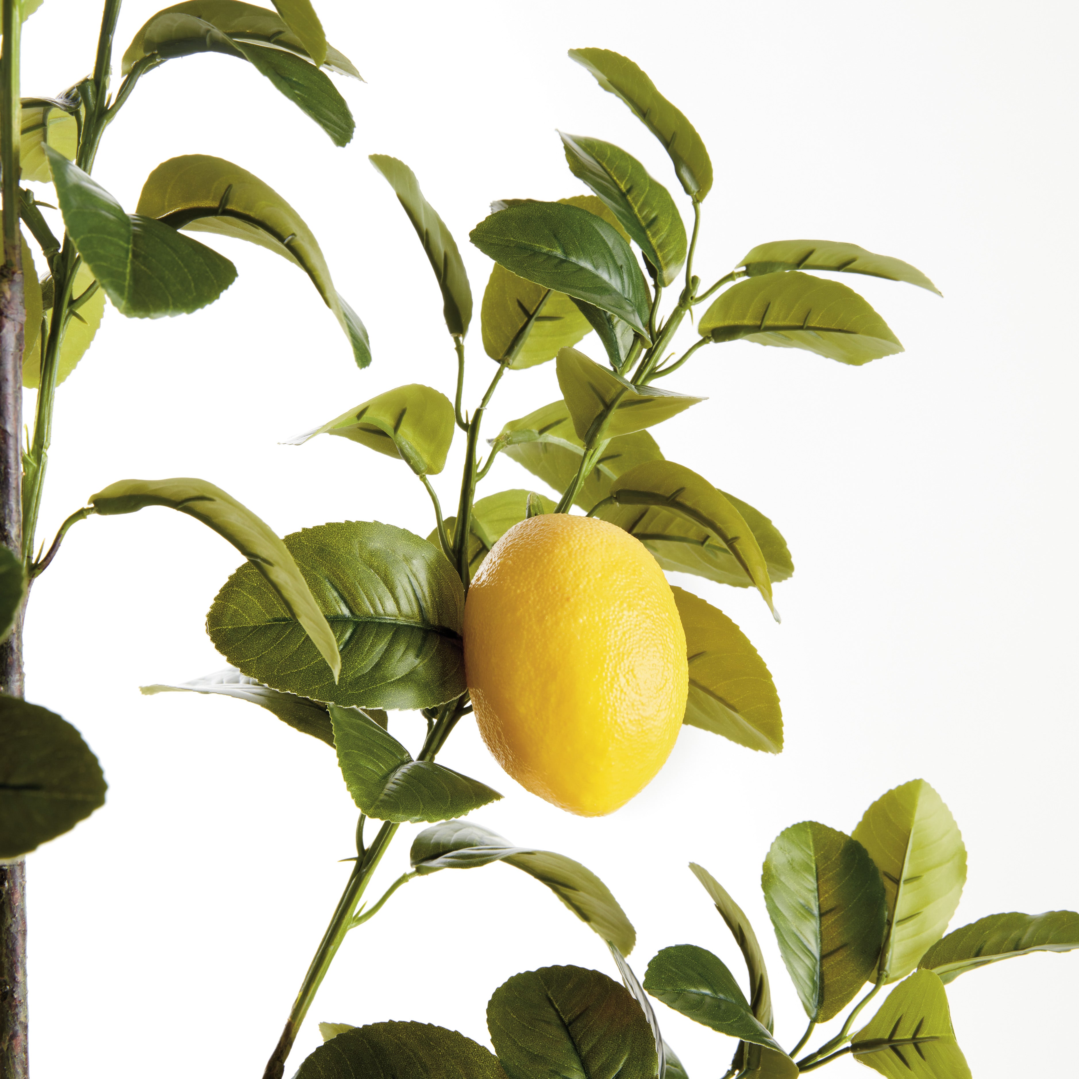 FAUX LEMON BRANCHES 43", SET OF 2 - view 2