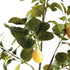 FAUX LEMON BRANCHES 43", SET OF 2 - view 3