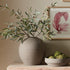 OLIVE STEMS WITH OLIVES 32", SET OF 4 - view 5