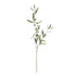 Olive Stems With Olives 32", Set Of 4