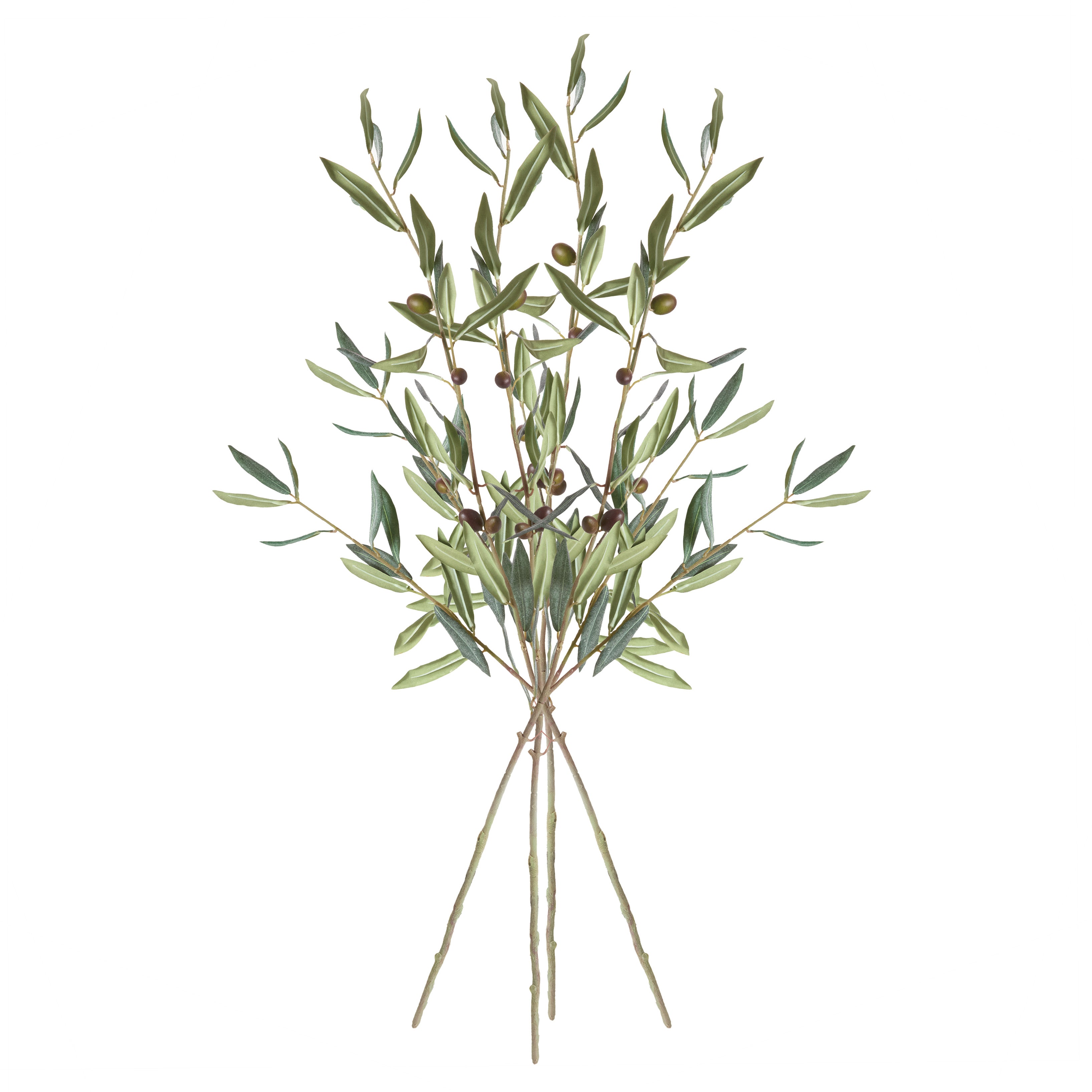 Olive Stems With Olives 32", Set Of 4 - View 2