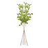 SHADY LADY BLACK OLIVE STEMS 28", SET OF 4 - view 2