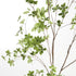 Shady Lady Black Olive Branches 56", Set Of 2 - View 2