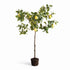 Faux Lemon Tree Drop-In 49"