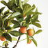 FAUX KUMQUAT TREE DROP-IN 33" - view 2
