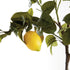 Faux Lemon Tree Drop-In 37" - View 2