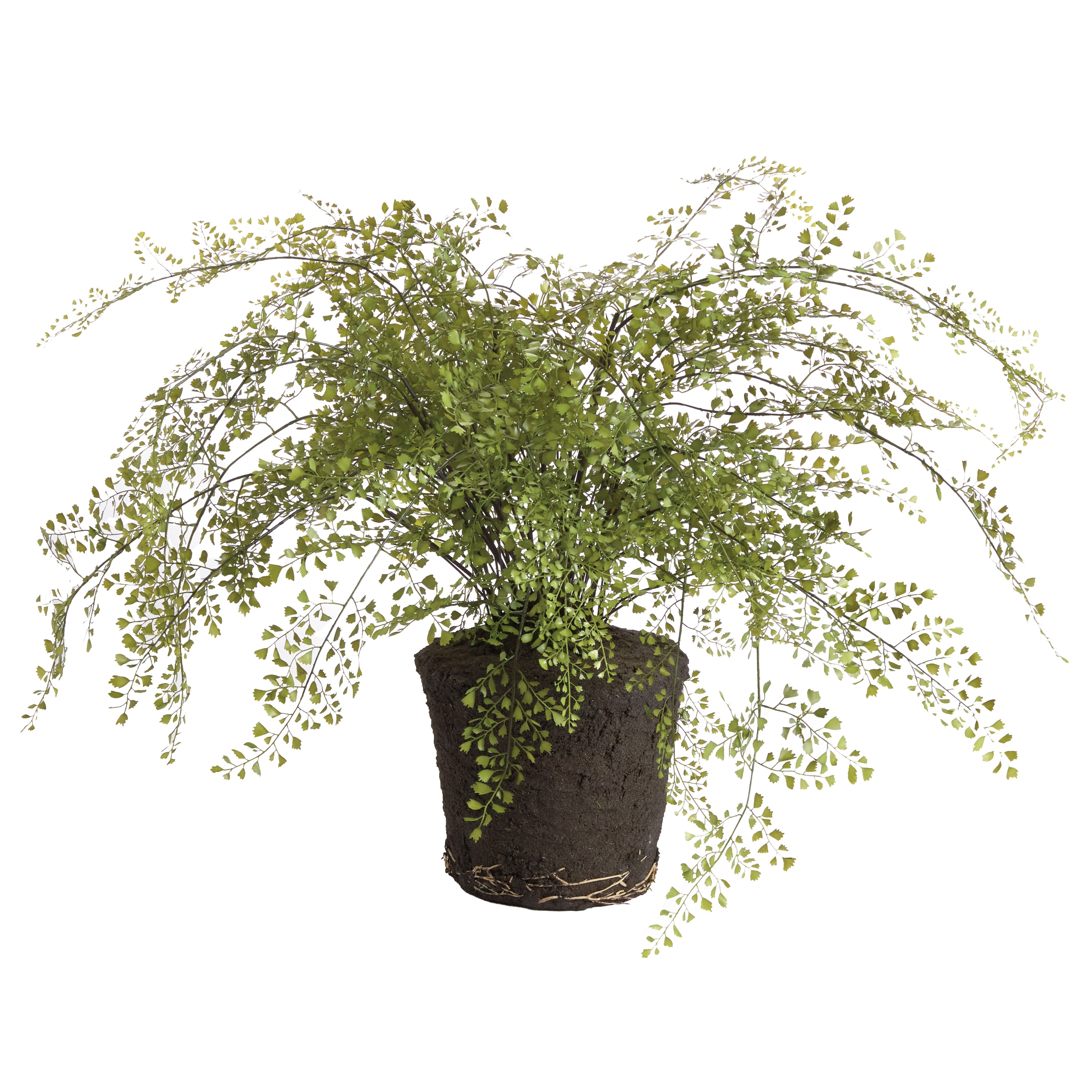 Maidenhair Drop-In 37"