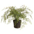 Maidenhair Drop-In 37"