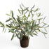 Olive Tree Drop-In 17.5" - View 2