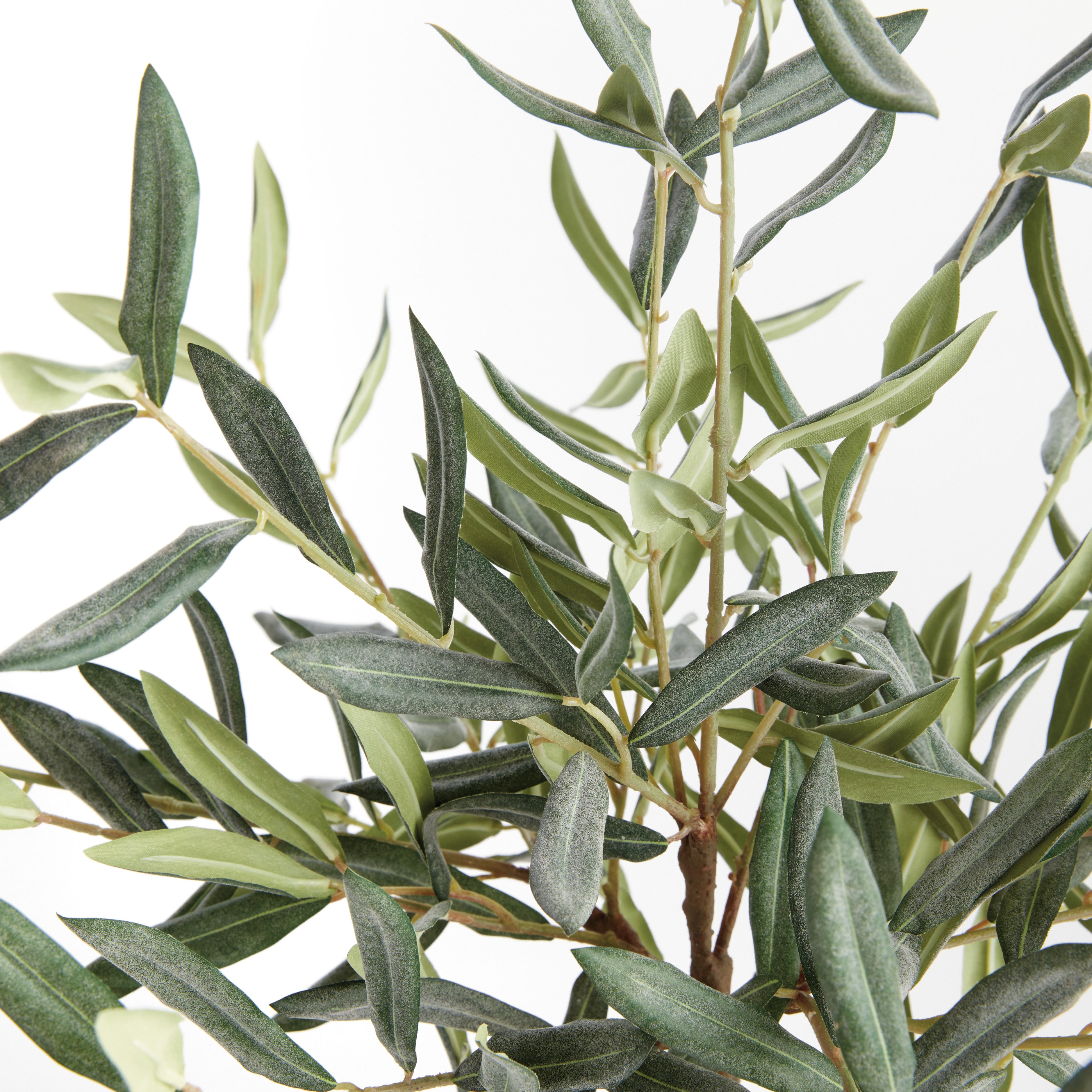 Olive Tree Drop-In 17.5" - View 3