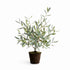 OLIVE TREE DROP-IN 26"