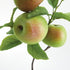 Apple Branches 20" St/4 - View 3