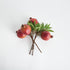 Pomegranate Picks 10" St/4 - View 4