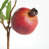 Pomegranate Picks 10" St/4 - View 5