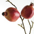 Pomegranate Branches 36" St/4 - View 3