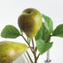 Pear Picks 9.5" St/4 - View 5