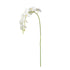 Phalaenopsis Orchid Stems 28" St/4