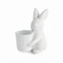 Janie Rabbit With Basket Pot