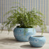 Monarch Empress Pot Large - View 3
