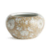 Province Lotus Planter Small