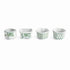 IMPERIAL ASSORTED MINI POTS, SET OF 4