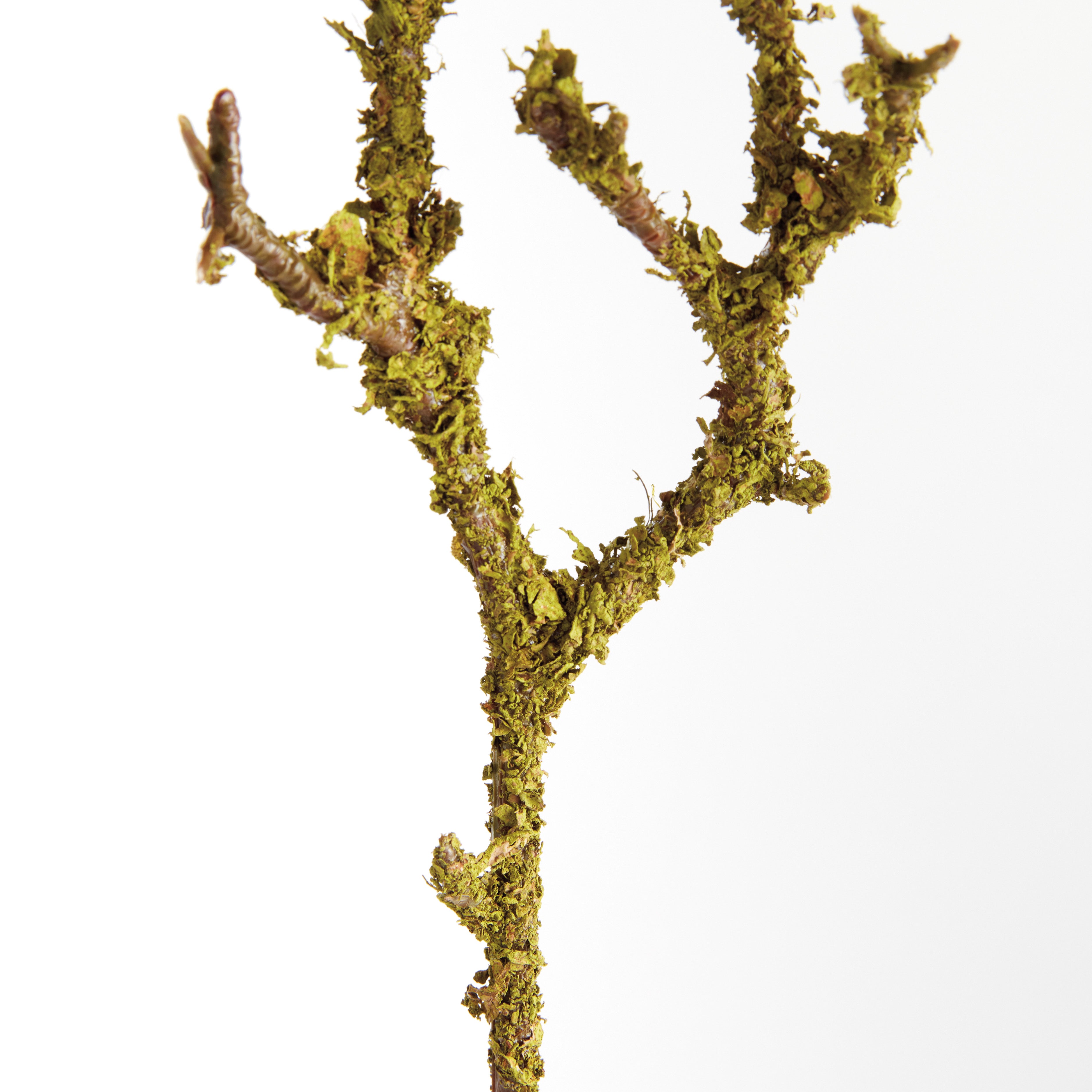 LICHEN BRANCHES 17", SET OF 6 - view 2