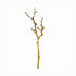 LICHEN BRANCHES 17", SET OF 6