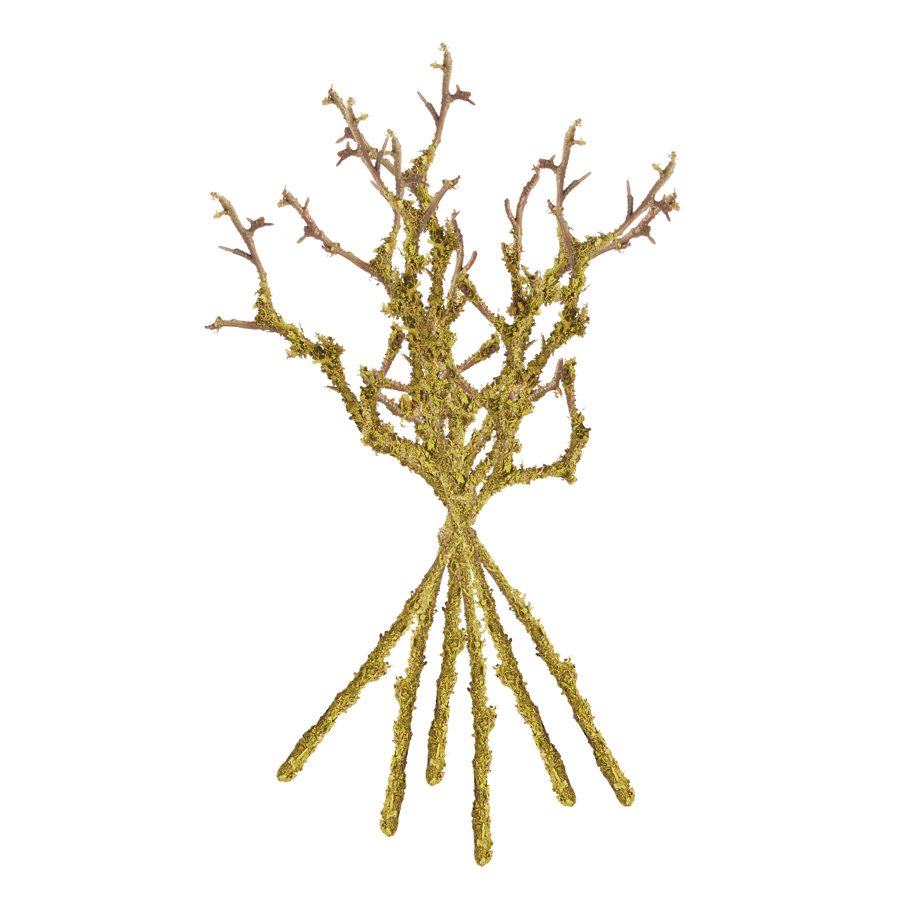 LICHEN BRANCHES 17", SET OF 6 - view 3