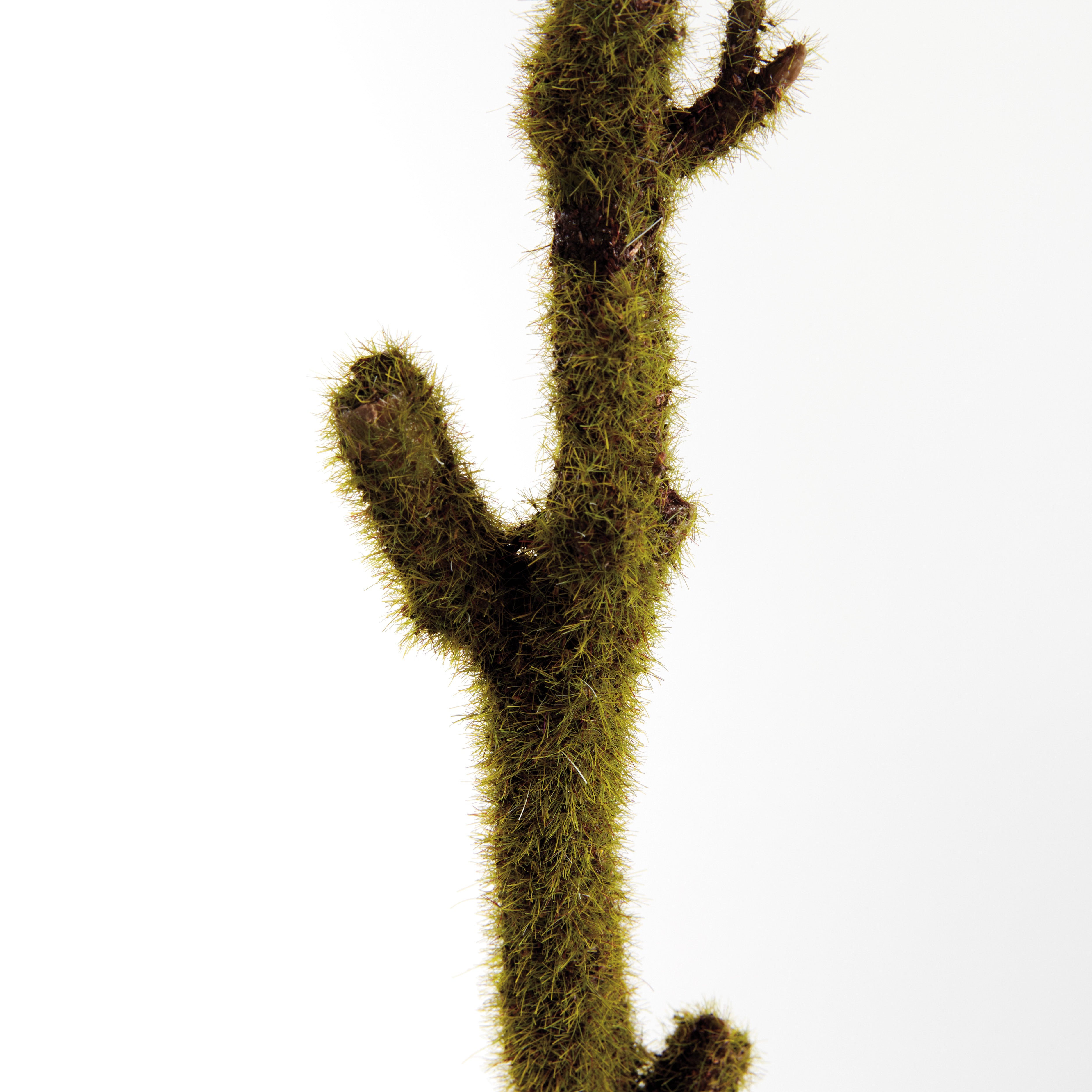 Moss Branches 24", Set Of 2 - View 2