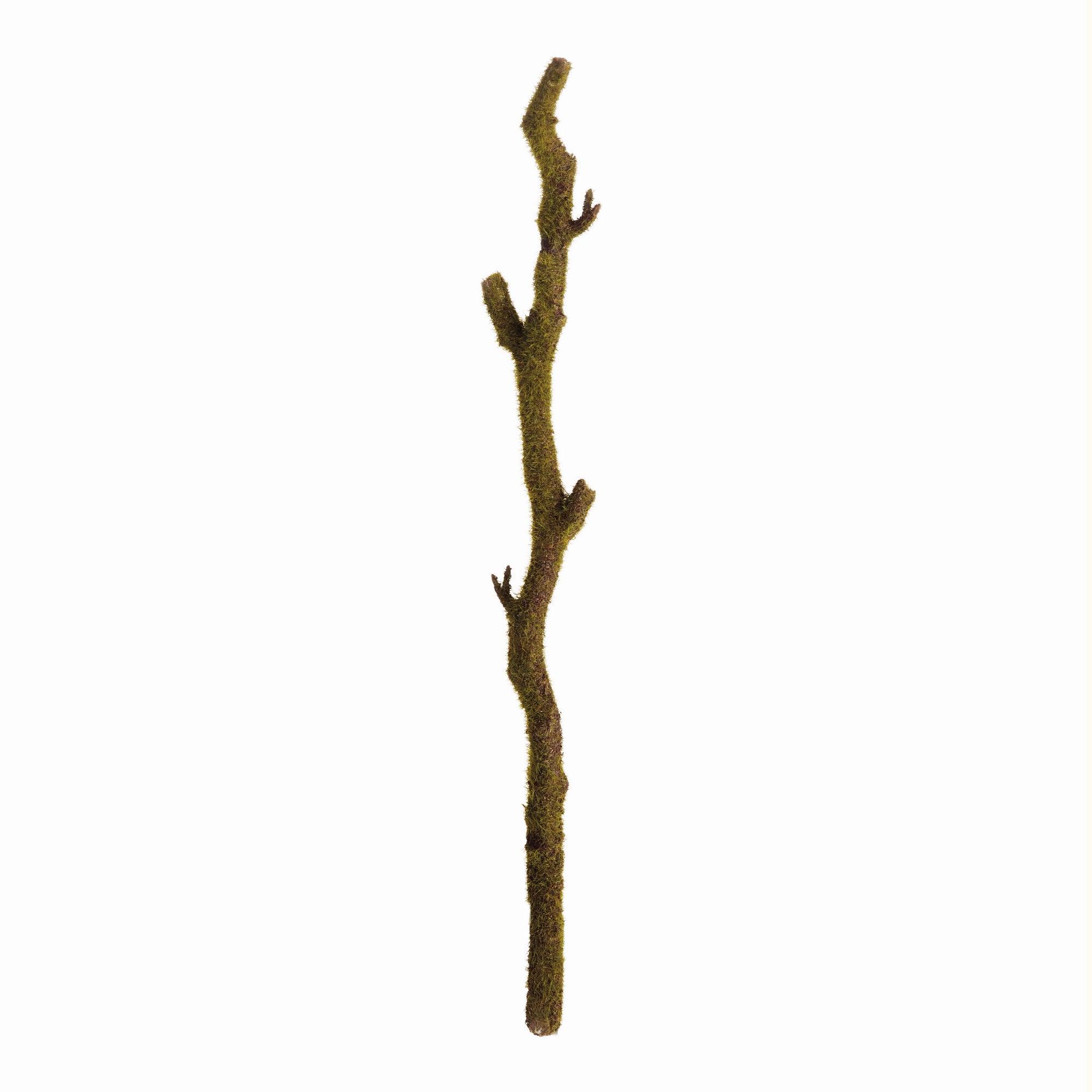 Moss Branches 24", Set Of 2