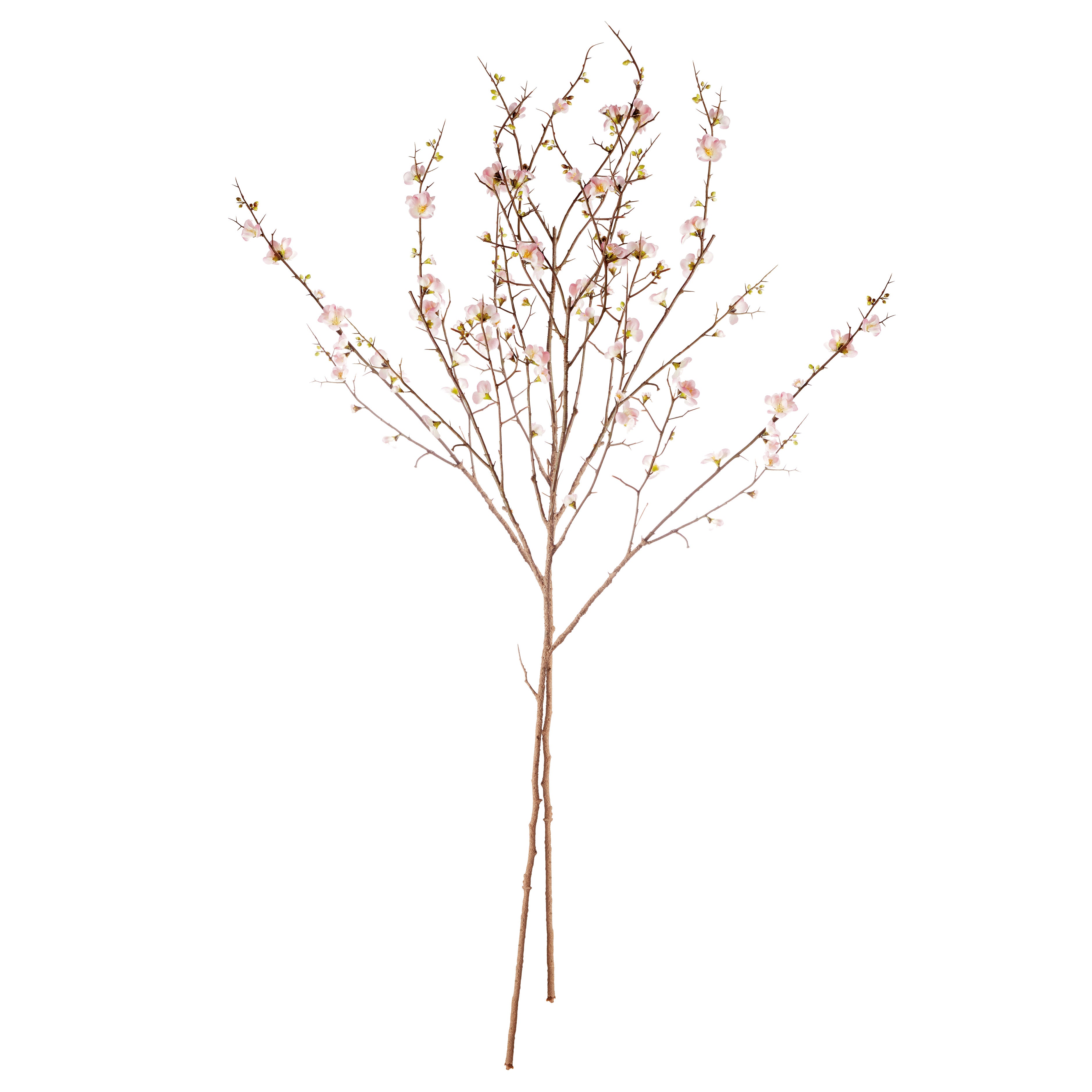 Pink Quince Blossom Branches 54", Set Of 2 - View 3