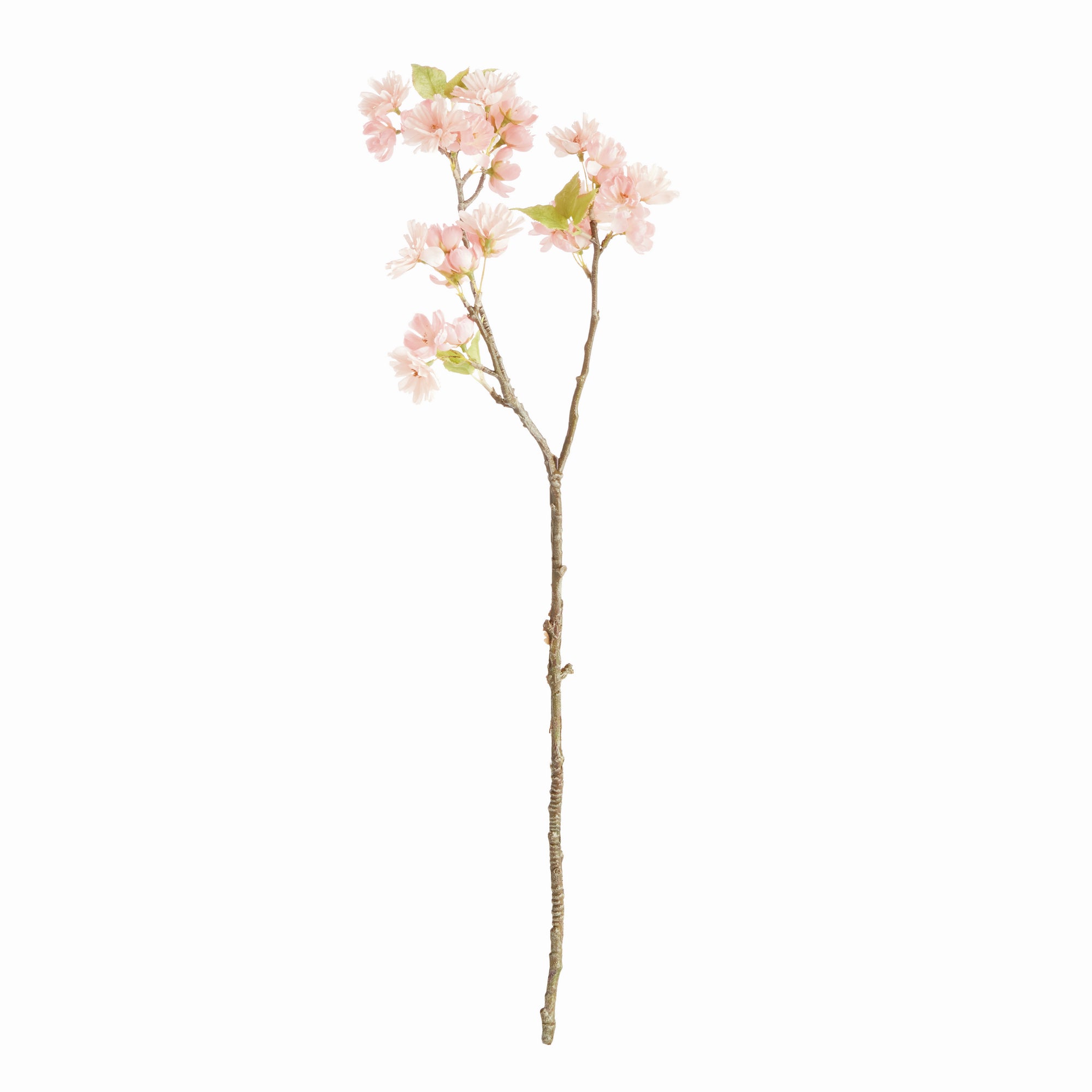 Double Cherry Blossom Stems 28", Set Of 6