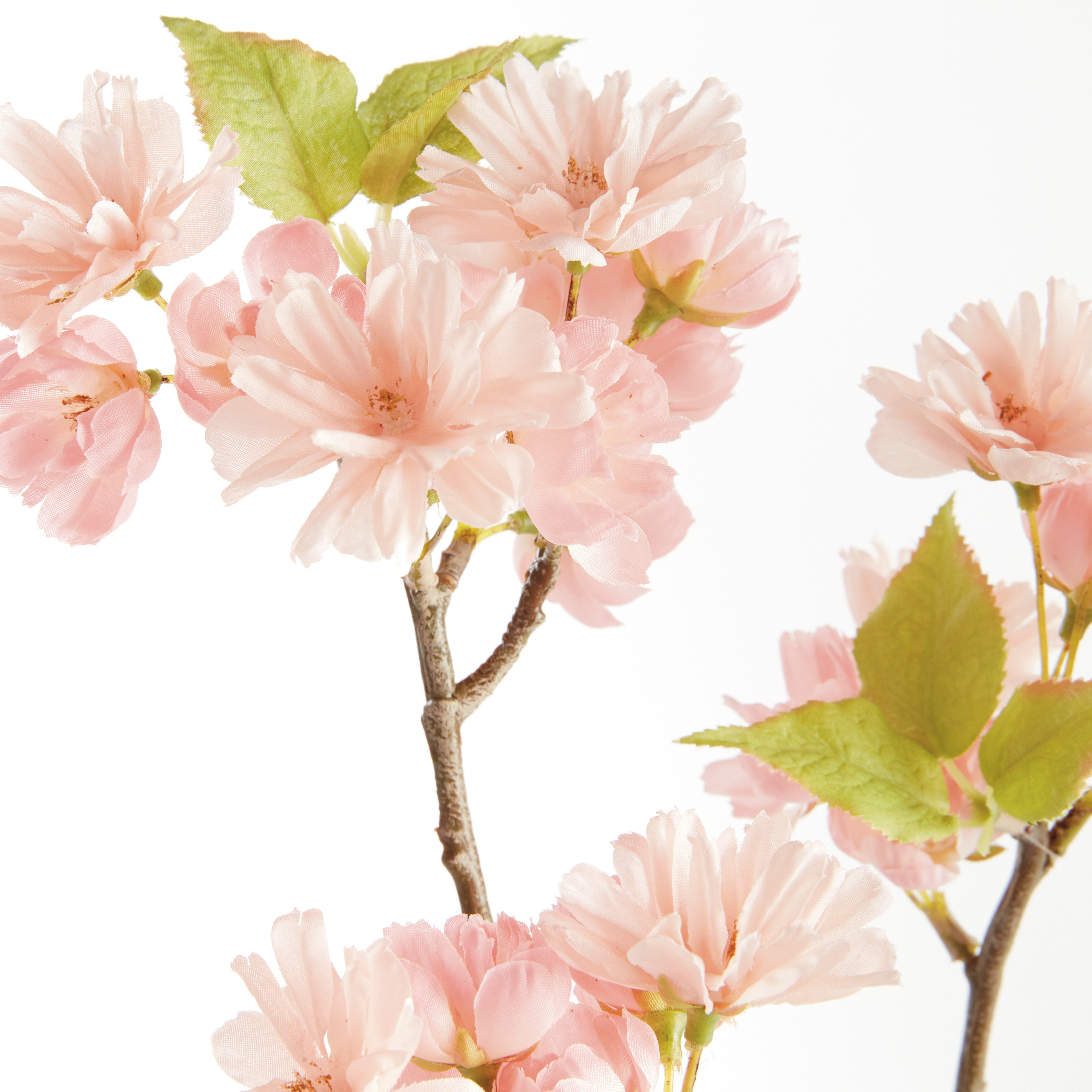 Double Cherry Blossom Stems 28", Set Of 6 - View 2