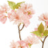 Double Cherry Blossom Stems 28", Set Of 6 - View 2