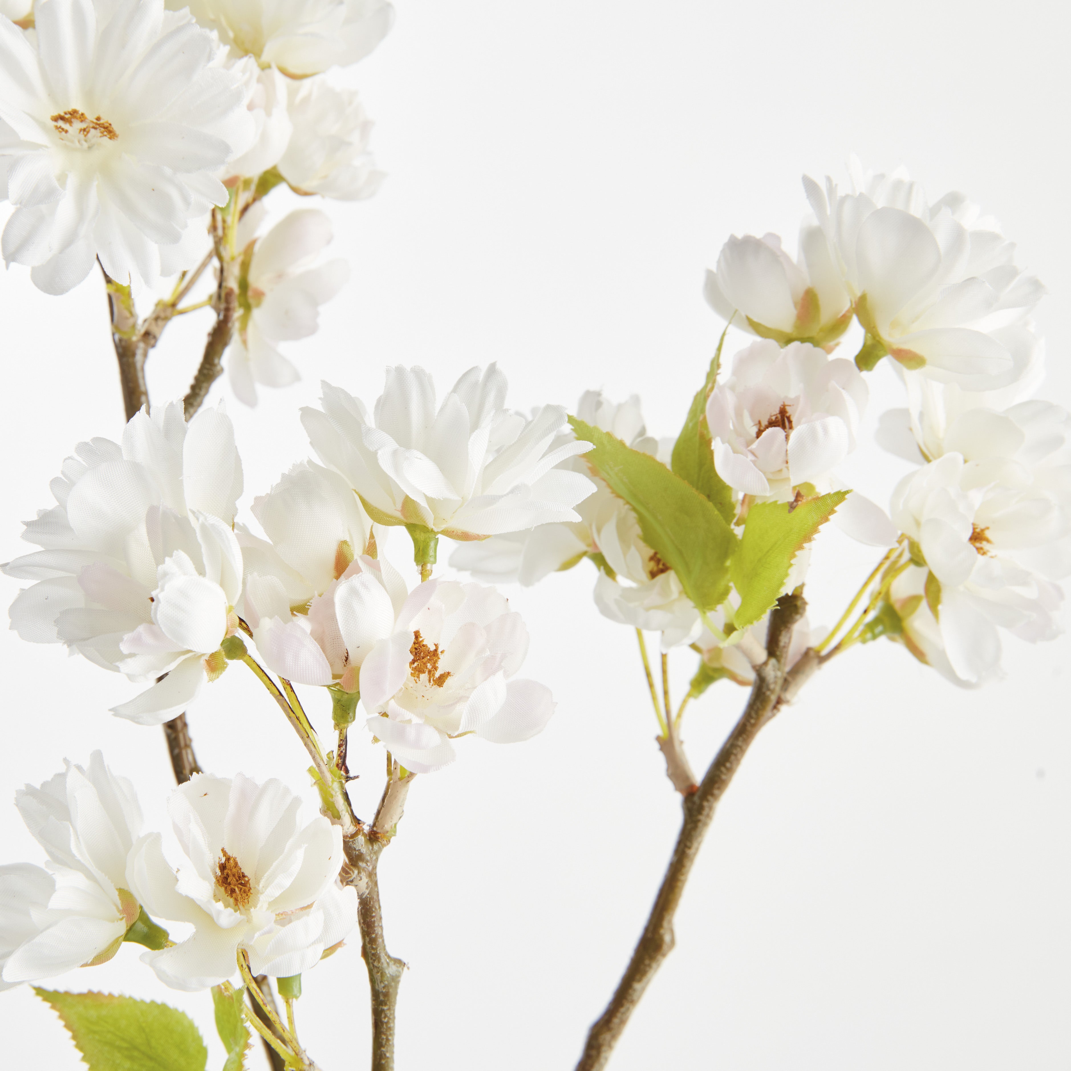 Double Cherry Blossom Stems 28", Set Of 6 - View 2