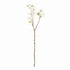 Double Cherry Blossom Stems 28", Set Of 6