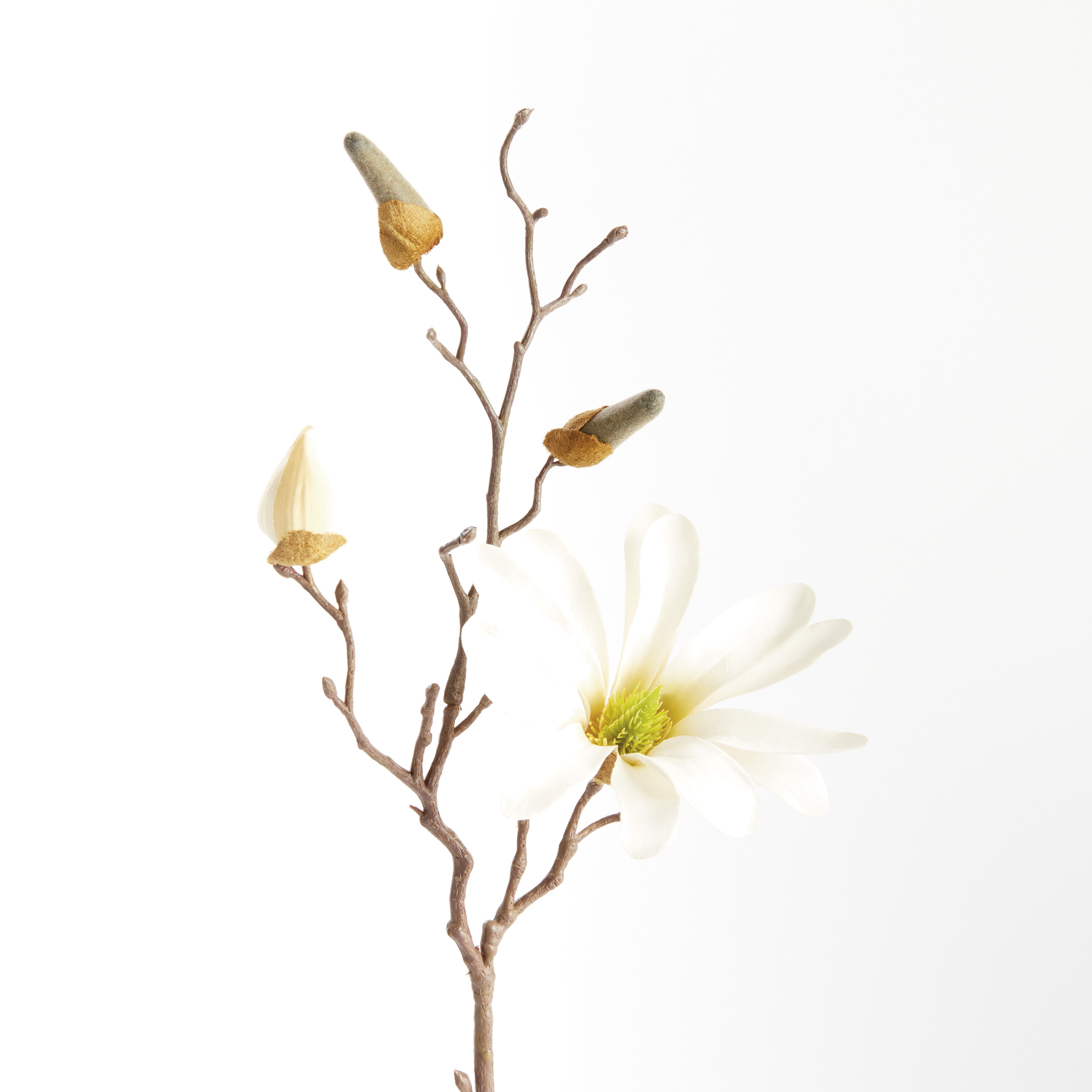 STAR MAGNOLIA STEMS 18", SET OF 6 - view 2