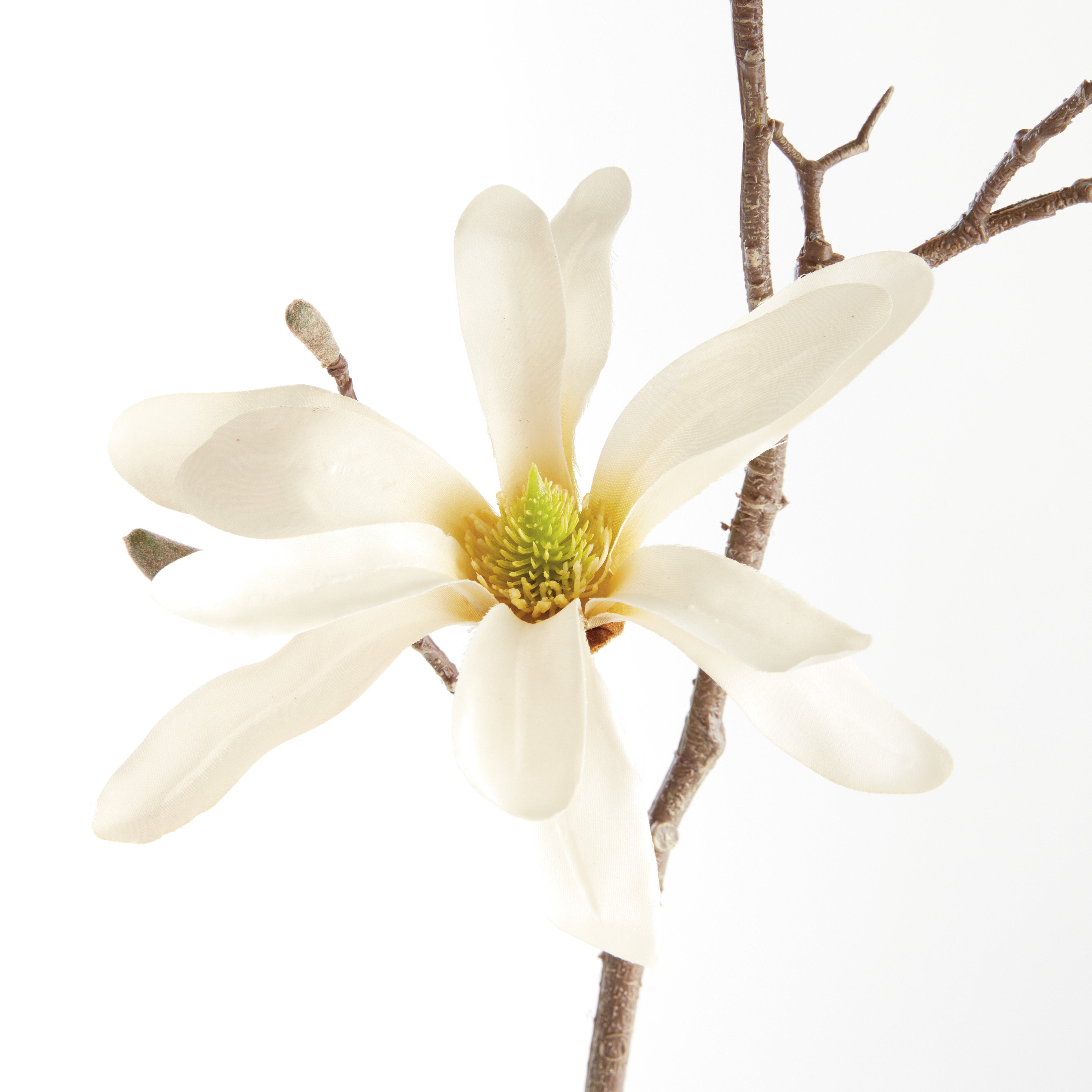 Star Magnolia Branches 32", Set Of 6 - View 2