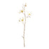 Star Magnolia Branches 32", Set Of 6