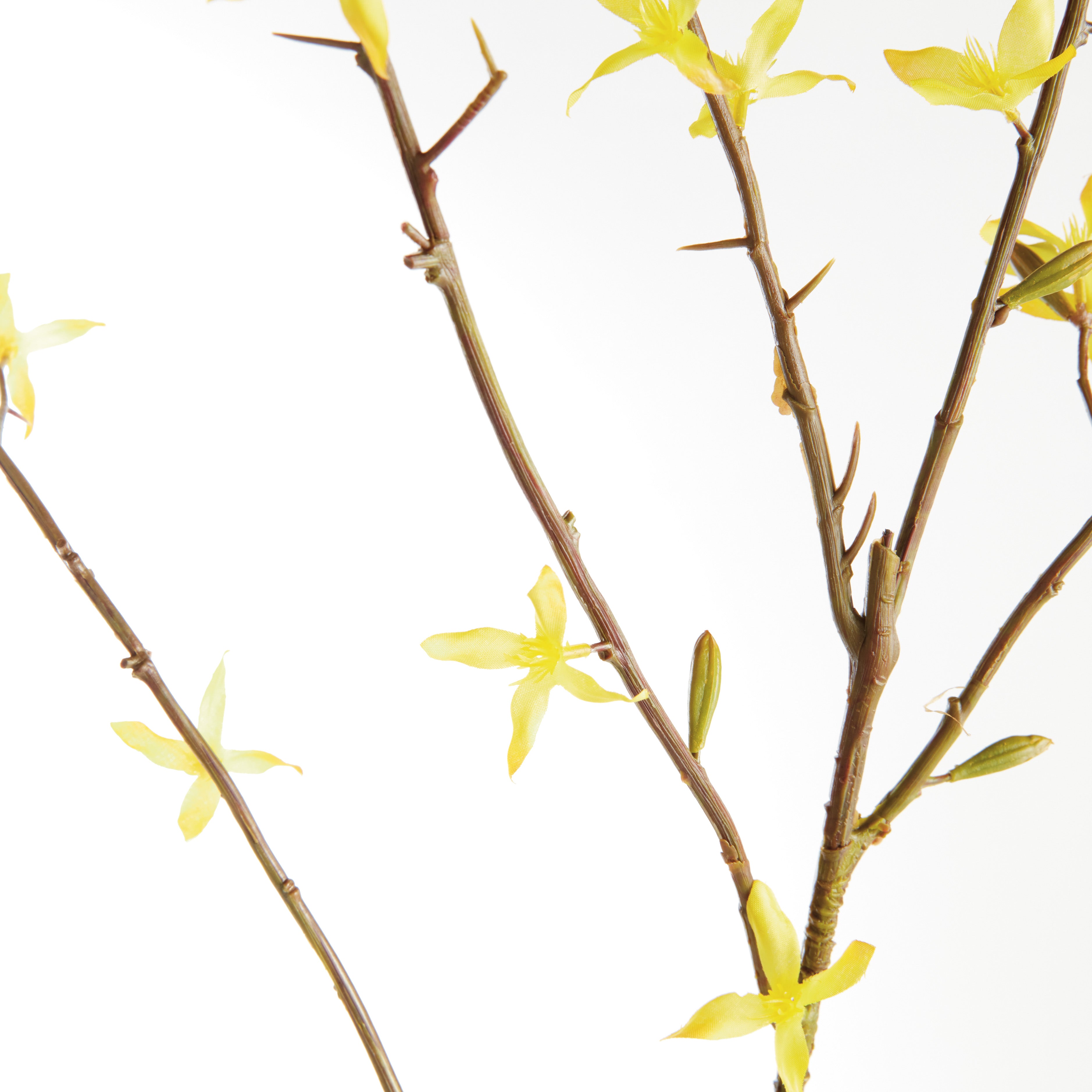 FORSYTHIA STEMS 47", SET OF 6 - view 3
