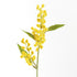 MIMOSA CUTTINGS 11", SET OF 12 - view 2
