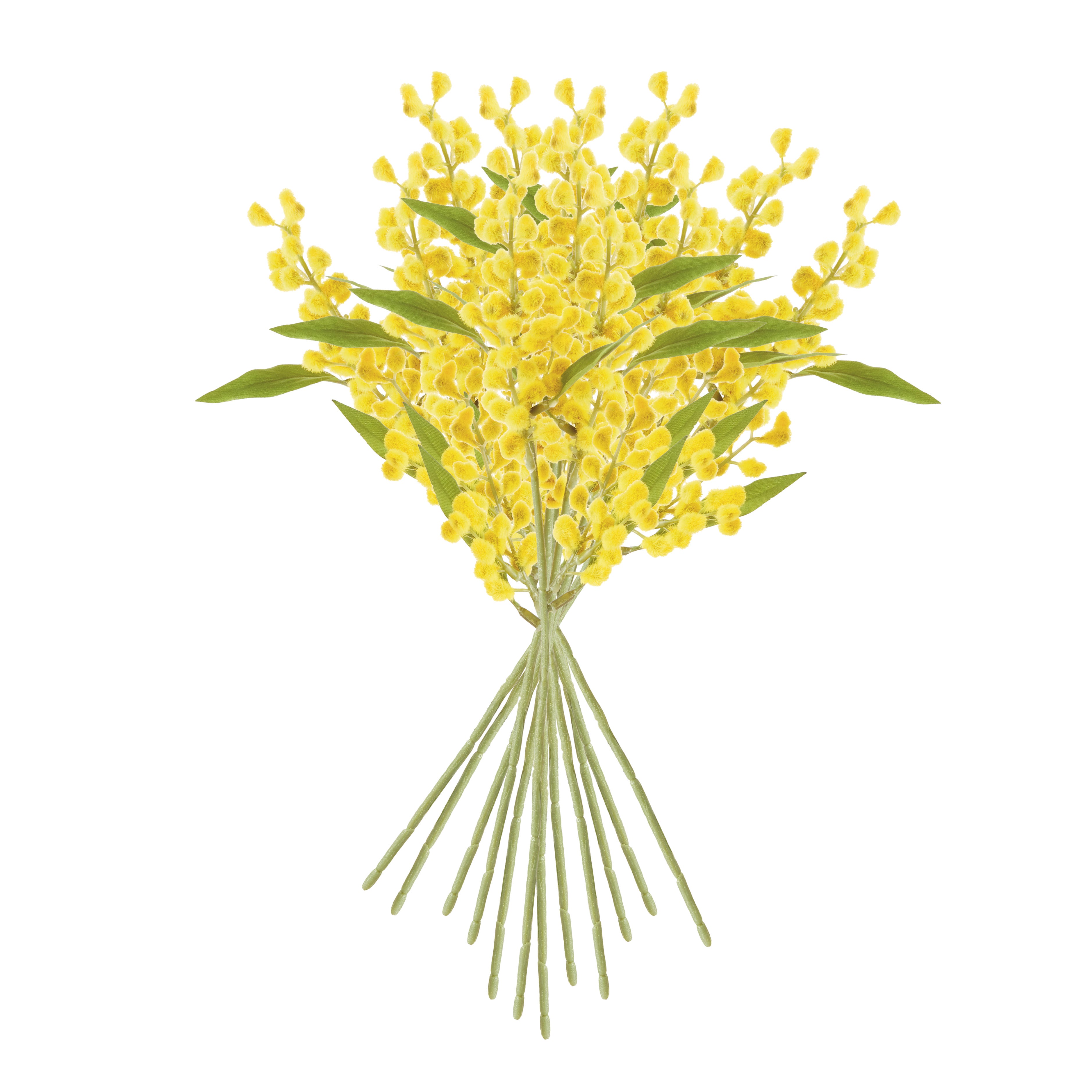 MIMOSA CUTTINGS 11", SET OF 12 - view 4