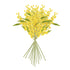 MIMOSA CUTTINGS 11", SET OF 12 - view 4