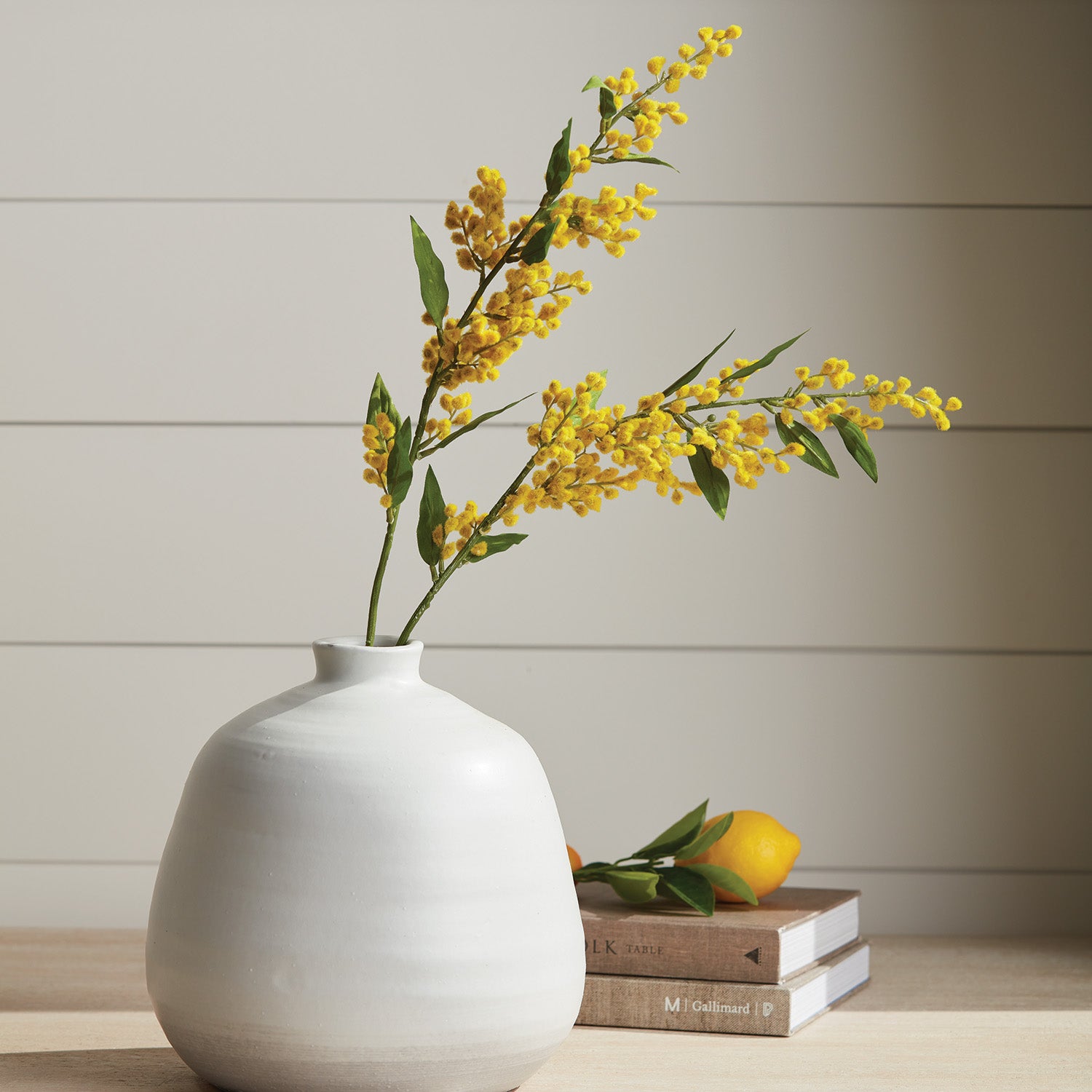 MIMOSA STEMS 27.5", SET OF 6 - view 4