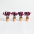 Mini Oxalis Potted Drop-In 7" St/4 - View 2