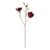 Magnolia Stems 27" St/4